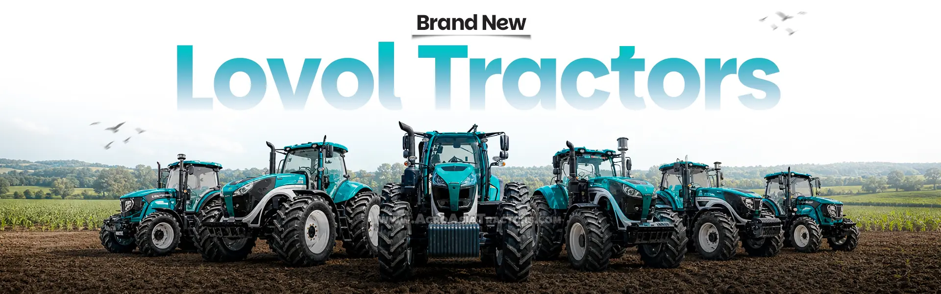 Brand New Lovol Tractors for sale